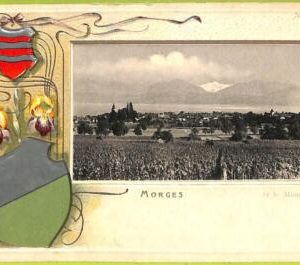 ad4825 - SWITZERLAND Schweitz - Ansichtskarten VINTAGE POSTCARD - Morges