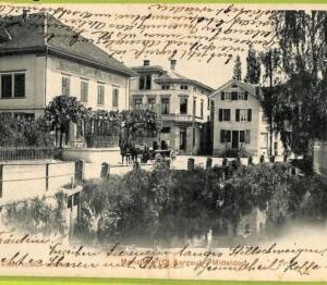 ad4831 - SWITZERLAND Schweitz - Ansichtskarten VINTAGE POSTCARD - Menziken-1905
