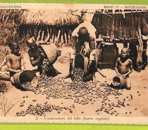 af4240 - Italian Colonies - VINTAGE POSTCARD - 1930 -  ETHNIC - AFRICA
