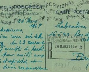 93483 - FRANCE - POSTAL HISTORY - Special Postmark AUTO GRAND PRIX Perpignan