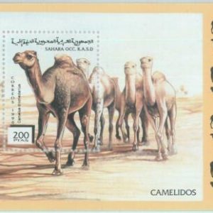 C0425 - Western SAHARA OCCIDENTAL - 1996, Miniature Sheet: Camels