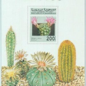 C0445 - Western SAHARA OCCIDENTAL - 1997, Miniature Sheet: Cactus, Plants