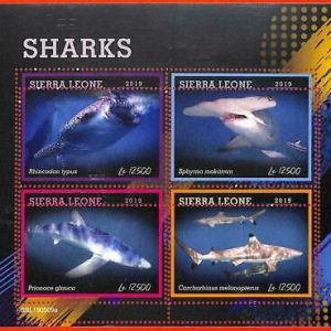 A4616 - SIERRA LEONE - ERROR MISPERF, Miniatura hoja: 2019, Tiburones, Vida...