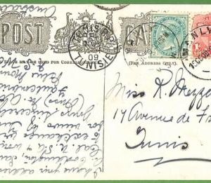 P1001 - AUSTRALIA New South Wales - Postal History - POSTCARD to TUNISIA ! 1909