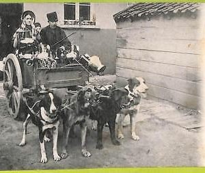 af5197 - BELGIUM Belgique -Carte Postal Ancienne VINTAGE POSTCARD - Ethnic