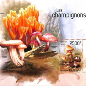 A7143 - TOGO, Error, 2014, MISPERF SOUVENIR SHEET: Mushrooms