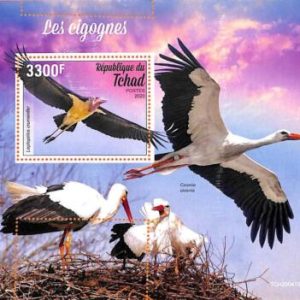 A7165 - TCHAD, Error, 2020, MISPERF SOUVENIR SHEET: Birds, Storks