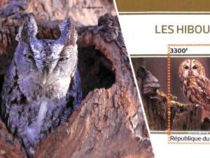 A7162 - TCHAD, Error, 2020, MISPERF SOUVENIR SHEET: Birds, Owls