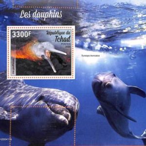 A7167 - TCHAD, Error, 2020, MISPERF SOUVENIR SHEET: Dolphins