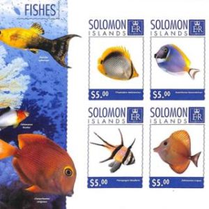 A7017 - SOLOMON ISLANDS, Error, 2014, IMPERF MINIATURE SHEET: Fishes