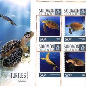 A7018 - SOLOMON ISLANDS, Error, 2014, MISPERF MINIATURE SHEET: Turtles