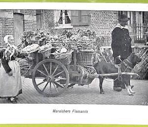 af5203 - BELGIUM Belgique -Carte Postal Ancienne VINTAGE POSTCARD - Ethnic