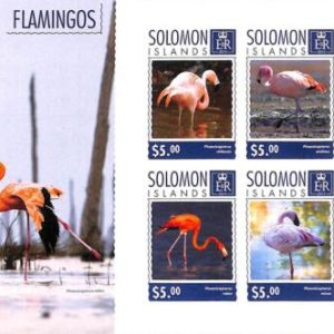 A7015 - SOLOMON ISLANDS, Error, 2014, IMPERF MINIATURE SHEET: Flamingos, Birds
