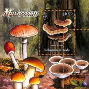 A7028 - SOLOMON ISLANDS, Error, 2012, MISPERF SOUVENIR SHEET: Mushrooms