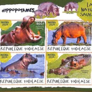 A7033 - TOGO, Error, 2014, MISPERF MINIATURE SHEET: Hippopotamus