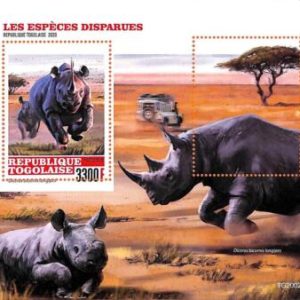 A7041 - TOGO, Error, 2020, MISPERF SOUVENIR SHEET: Rhinoceros, Safari