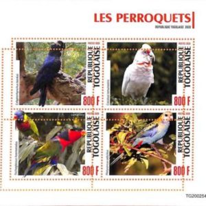 A7049 - TOGO, Error, 2020, MISPERF MINIATURE SHEET: Birds, Parrots