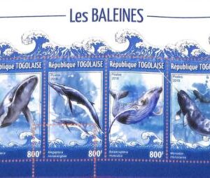 A7054 - TOGO, Error, 2019, MISPERF MINIATURE SHEET: Whales, Marine Life