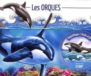 A7053 - TOGO, Error, 2019, MISPERF SOUVENIR SHEET: Orcas, Marine Life