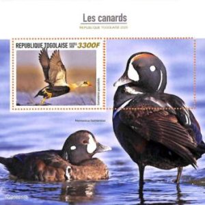 A7055 - TOGO, Error, 2020, MISPERF SOUVENIR SHEET: Birds, Ducks
