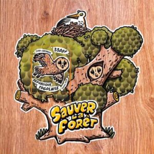 A7057 - TOGO, Error, 2020, MISPERF SOUVENIR SHEET: Birds, Owls, Save the Forests