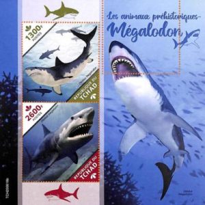 A7171 - TCHAD, Error, 2020, MISPERF MINIATURE SHEET: Sharks, Prehistoric Marine