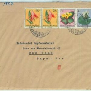 67437 - Belgian CONGO Belge  - Postal History -  STAMPS on COVER 1957  FLOWERS