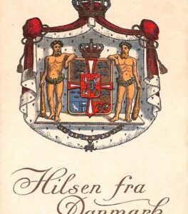 ac9738 - DENMARK - VINTAGE POSTCARD - Hilsen fra Danmark