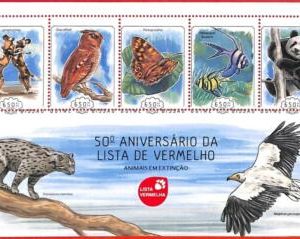 A5164 - GUINEA-BISSAU - ERROR MISPERF: 2014, Brazil 2014, Soccer, Football
