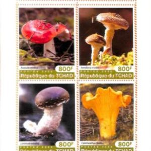 A7225 - TCHAD, Error, 2020, MISPERF MINIATURE SHEET: Mushrooms
