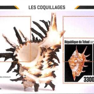A7226 - TCHAD, Error, 2020, MISPERF SOUVENIR SHEET: Seashells, Marine life