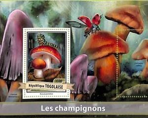 A9754 - TOGO - ERROR MISPERF Stamp Sheet - 2017 - MUSHROOMS