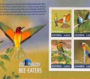 A7229 - UGANDA, Error, 2014, MISPERF MINIATURE SHEET: Bee eaters, Bird Watching