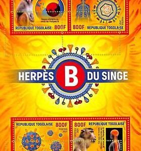 A9758 - TOGO - ERROR MISPERF Stamp Sheet - 2021- Disease, MEDICINE