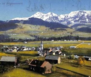 ac9502  -  AUSTRIA - Ansichtskarten VINTAGE POSTCARD -  Lingenau - 1913