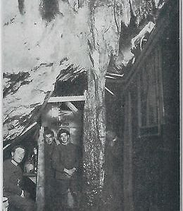 53013  - CARTOLINA d'Epoca - GORIZIA provincia -  CARSO: posto telegrafico