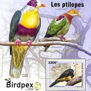 A9167 - NIGER - ERROR MISPERF Stamp Sheet -  2022 - Birds, Ptilopes
