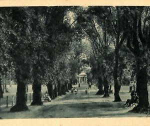 ab0685 - POSTAL VINTAGE - ROMA Ciudad