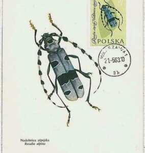 32542 - Polonia - MAXIMUM CARD : INSECTS1963 # 5