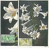 12312A - BERMUDA - FLOWERS - 2 Maximum Card : 1952