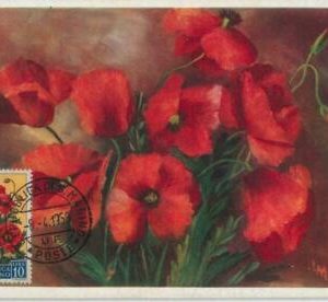 48274 - SAN MARINO - MAXIMUM CARD - NATURE: Flowers1958 10 lire