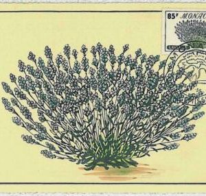 32434 - MONACO - MAXIMUM CARD : nature FLOWERS 1959 #3