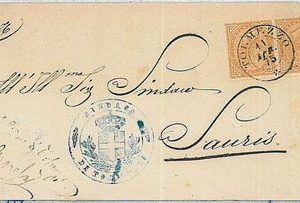 37950  ITALIA REGNO:  Sassone T17 coppia  su CIRCOLARE annullo TOLMEZZO 1875
