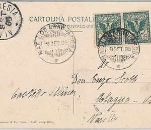 53226  - REGNO- Storia Postale: CARTOLINA con annullo NATANTE: LOCARNO / ARONA