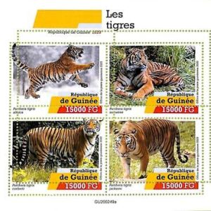 A9477 - REP.GUINEE - ERROR MISPERF Stamp Sheet - 2020  - Big Cats, Tiger