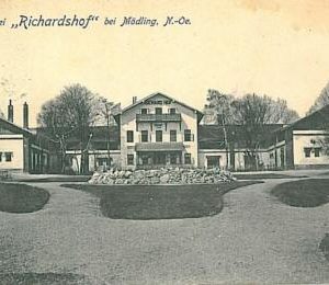 11415  - Ansichtskarten VINTAGE POSTCARD Österreich AUSTRIA - MOBLING 1915
