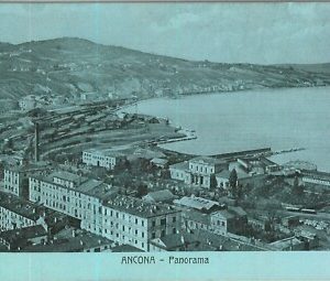 97315  - CARTOLINA d'Epoca -  ANCONA  Citta'  - PANORAMA