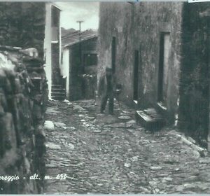 85925  -  CARTOLINA d'Epoca - MASSA CARRARA Provincia - MONTEREGGIO  1964