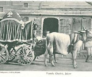 20829 - INDIA - VINTAGE POSTCARD: JAIPUR - ETHNIC