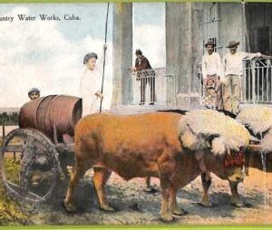 aa5943 - HABANA - Vintage Postcard - Country Water Works